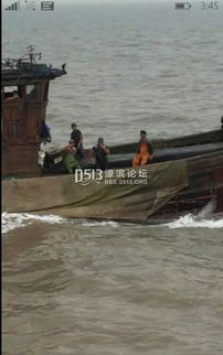 南通周边海域惊现“断子绝孙”式偷捕 鱼子鱼孙难逃厄运，数十万尾幼鱼竟成饲料原料